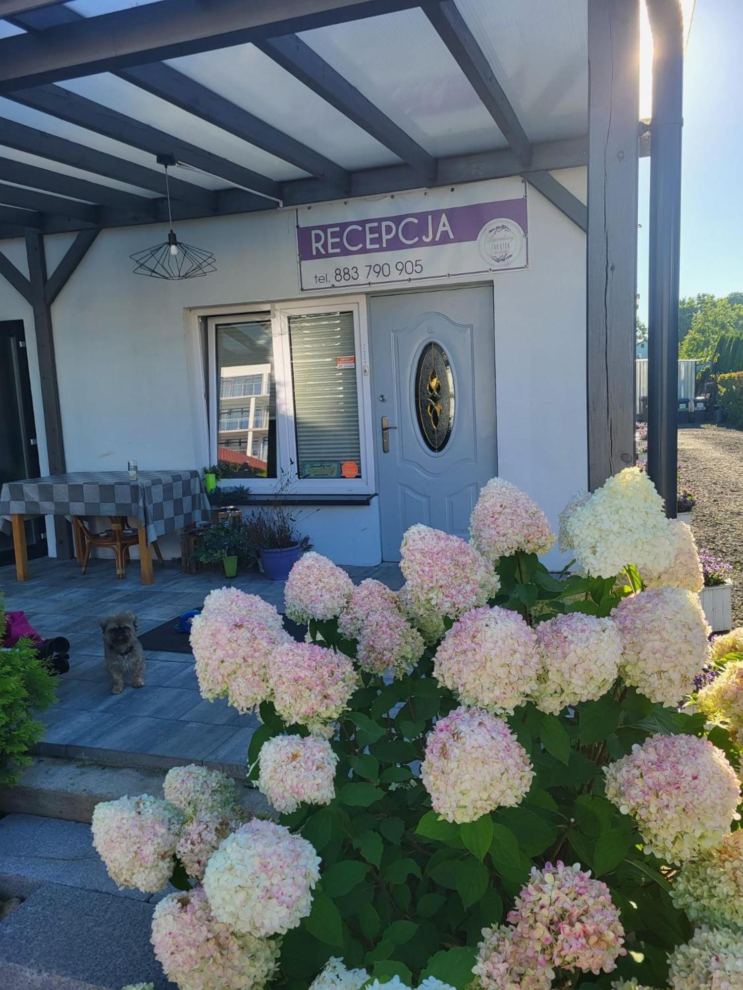 Lawendowy Zakatek Homestay
