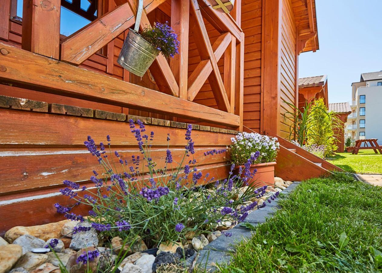 Lawendowy Zakatek Homestay